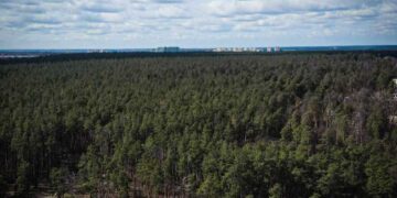 У київських лісах триває перевірка з безпілотниками  | Новини Київ