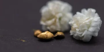 Новий метод перетворює електронні відходи на золото — ТЕХНОЛОГИИ