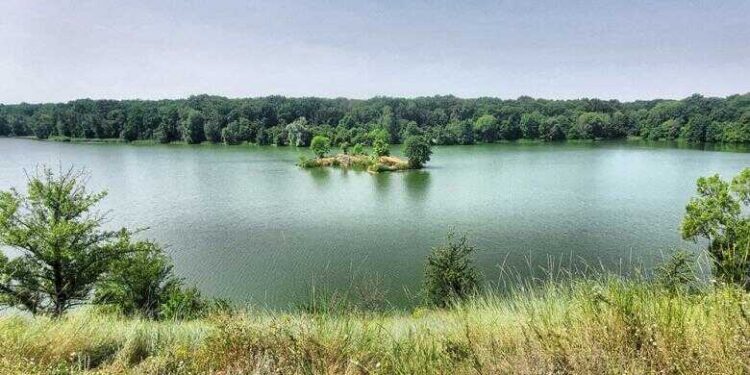 На Київщині зникає величезна річка: що там відбувається (Фото) | Новини Київ