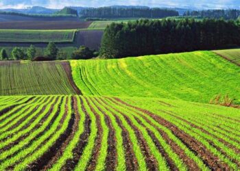 Стало відомо, на що можна обміняти земельну ділянку – ЭКОНОМИКА