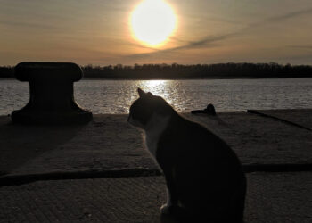 Чи тепло буде 29 лютого та 1 березня – прогноз погоди для Запоріжжя | Новости Запорожья