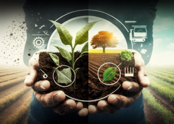 Кабмін схвалив законопроект, що передбачає важливі новації у сфері аграрного регулювання – ЭКОНОМИКА