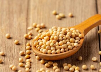 В Україні зросли ціни на сою – ЭКОНОМИКА