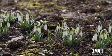Фото Полтави: перший день весни – ПОЛТАВА СЬОГОДНІ