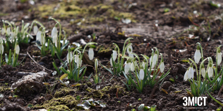 Фото Полтави: перший день весни – ПОЛТАВА СЬОГОДНІ