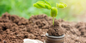 Громада повернула собі землі вартістю 31,3 мільйонів гривень: підприємці незаконно заволоділи 380 га землі | Журнал Житомира