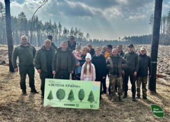Лісівники на Золотоніщині вже висадили 110 тисяч сіянців сосни — Новости Черкасс