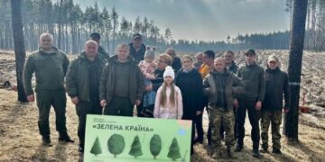 Лісівники на Золотоніщині вже висадили 110 тисяч сіянців сосни — Новости Черкасс