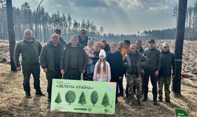 Лісівники на Золотоніщині вже висадили 110 тисяч сіянців сосни — Новости Черкасс