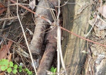 Мешканці міста продовжують виявляти небезпечні знахідки — Новости Черкасс