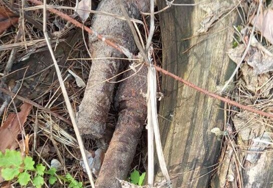 Мешканці міста продовжують виявляти небезпечні знахідки — Новости Черкасс