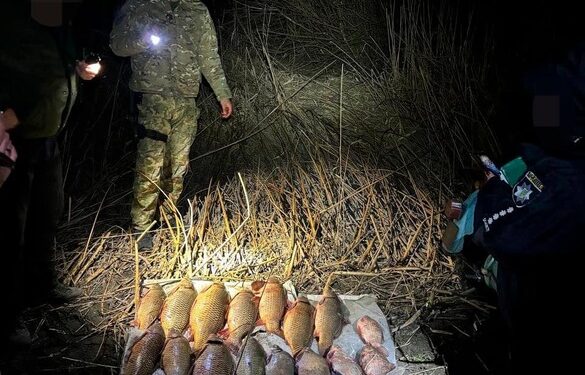 На Черкащині рибалка завдав збитків державі на понад 200 тисяч