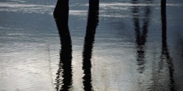 На Черкащині синоптики попереджають про можливі підтоплення деяких населених пунктів