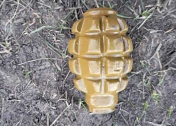 На Миколаївщині чоловік намагався підірвати гранатою старосту села