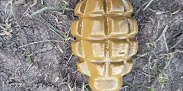 На Миколаївщині чоловік намагався підірвати гранатою старосту села