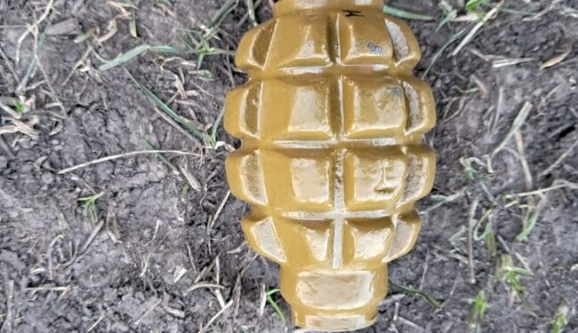 На Миколаївщині чоловік намагався підірвати гранатою старосту села