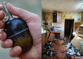 На Миколаївщині затримали чоловіка, який кинув гранату у будинок