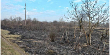 На Житомирщині вигоріло 8 гектарів сухої трави – рятувальники нагадують про штрафи | Журнал Житомира