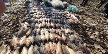 На Золотоніщині виявили браконьєрку, яка завдала збитків рибгоспу на понад 200 тисяч