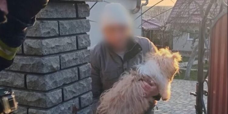 Надзвичайники врятували собаку яка застрягла в металевих елементах хвіртки —Хмельнитчина