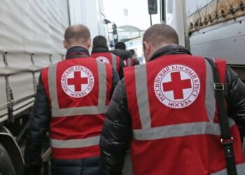 Омбудсман Лубінець вимагає розслідування діяльності російського Червоного хреста – Экономика