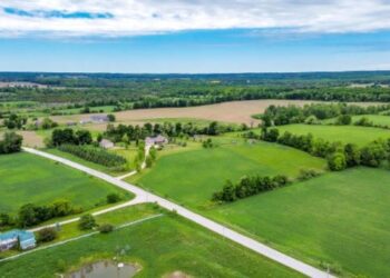 Підприємство Миколаївщини заборгувало за землю близько 15 мільйонів гривень