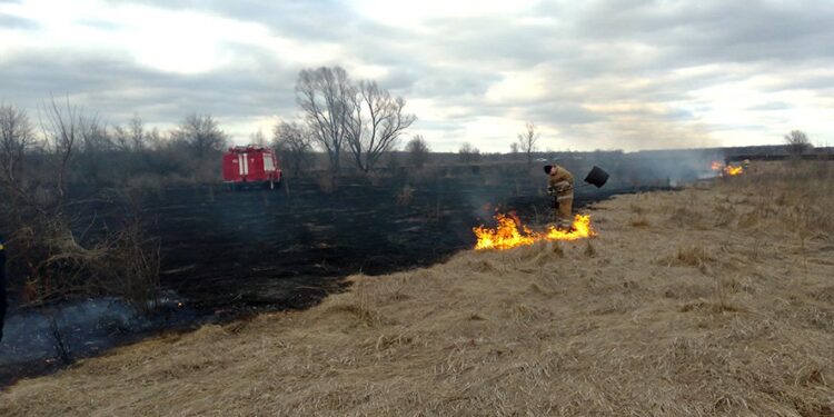 Пожежі на Полтавщині: вигоріло майже 300 гектарів сухостою