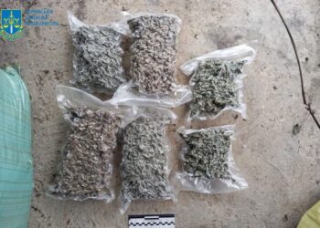 Придбали 12 кілограмів наркотиків: у Жашкові двоє чоловіків організували бізнес