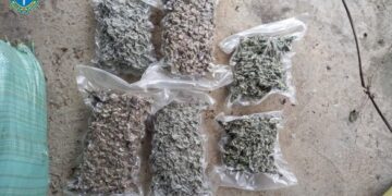 Придбали 12 кілограмів наркотиків: у Жашкові двоє чоловіків організували бізнес