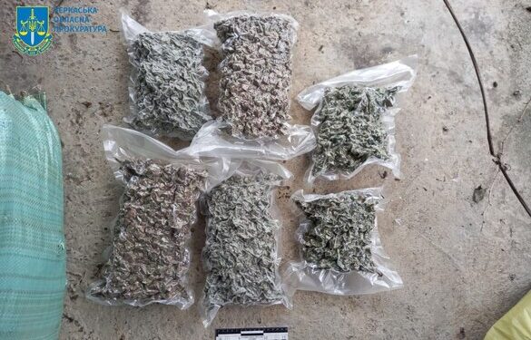 Придбали 12 кілограмів наркотиків: у Жашкові двоє чоловіків організували бізнес