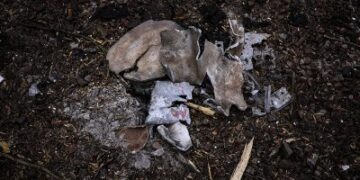 Російські окупанти знову посеред дня вдарили ракетою по Миколаєву » Миколаївський Оглядач