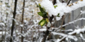 Синоптики попереджають про похолодання на Черкащині