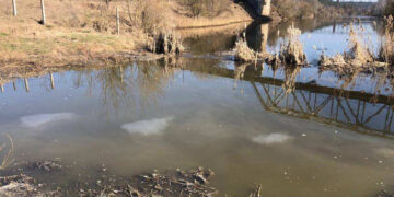 Скид нечистот у річку Тетерів – екологи перевіряють інформацію | Журнал Житомира