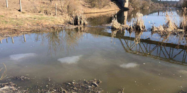 Скид нечистот у річку Тетерів – екологи перевіряють інформацію | Журнал Житомира