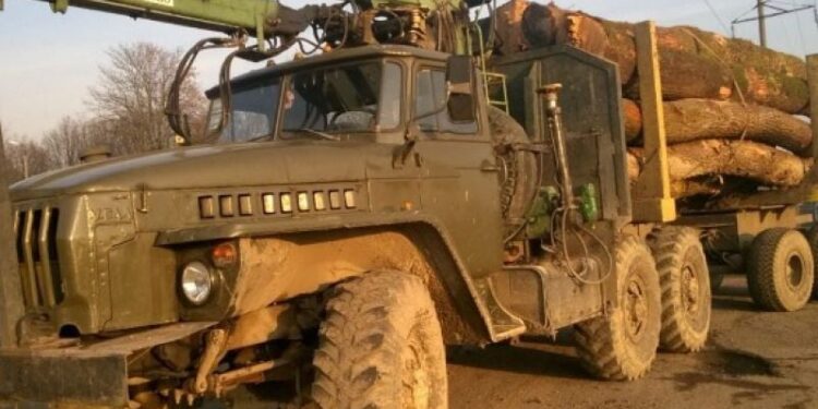 Тікав на УРАЛі та вдарив копа: двох братів з Шепетівщини судили за незаконну порубку лісу —Хмельнитчина