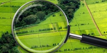 У Червоній Слободі жінка самовільно зайняла земельну ділянку та почала будівництво