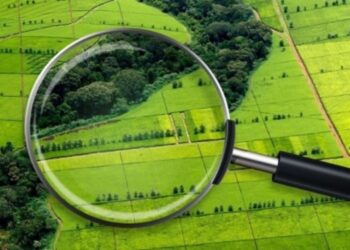 У Червоній Слободі жінка самовільно зайняла земельну ділянку та почала будівництво