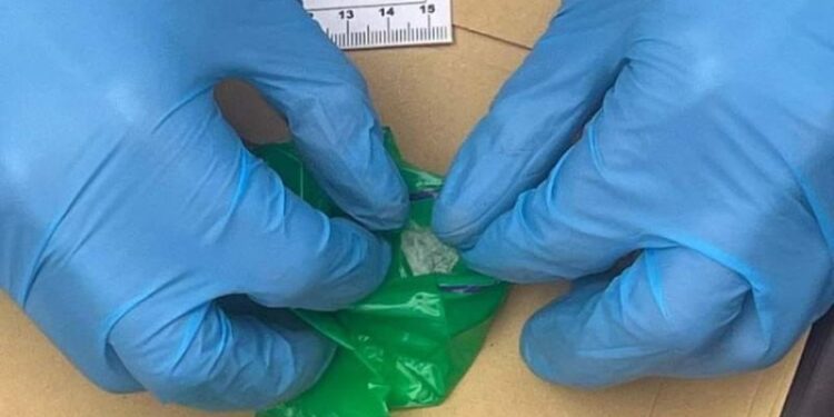 У лісовому масиві Шепетівщини виявили чоловіків з підозрілими пакетами —Хмельнитчина