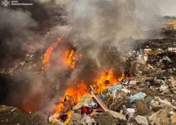 У Миколаєві вогнеборці ліквідовували пожежу сміттєзвалища » Миколаївський Оглядач