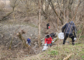 У Запоріжжі активісти влаштували екотолоку в урочищі Вирва – фоторепортаж із заходу | Новости Запорожья