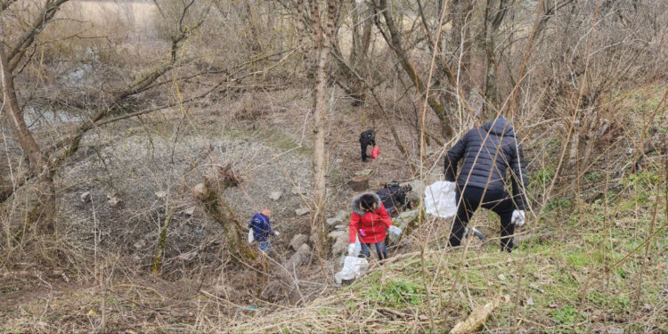 У Запоріжжі активісти влаштували екотолоку в урочищі Вирва – фоторепортаж із заходу | Новости Запорожья