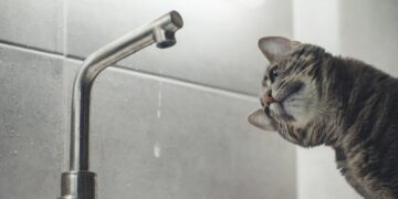 У Запоріжжі вимкнули воду через аварію на ділянці – за якими адресами  | Новости Запорожья