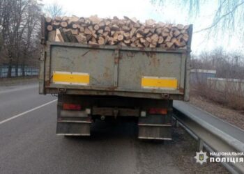 У Золотоніському районі поліцейські виявили водія, який ймовірно нелегально перевозив деревину  — Новости Черкасс