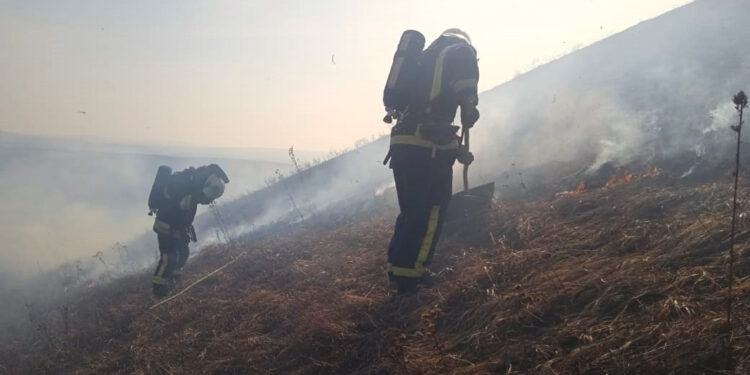 В Рогатинській громаді рятувальники ліквідували пожежу сухої трави на території ботанічної пам’ятки