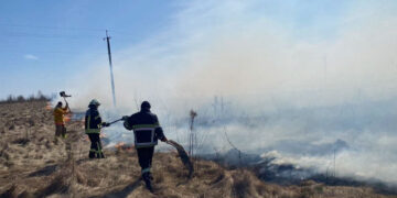 Вигоріло 25 гектарів території. За добу на Житомирщині сталось більше двох десятків пожеж | Журнал Житомира