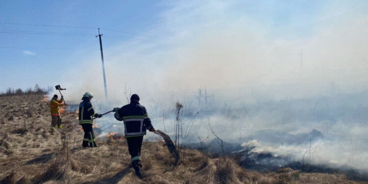 Вигоріло 25 гектарів території. За добу на Житомирщині сталось більше двох десятків пожеж | Журнал Житомира
