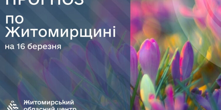 Вихідними на Житомирщині потепліє: у неділю прийдуть дощі | Журнал Житомира