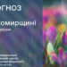 Вихідними на Житомирщині потепліє: у неділю прийдуть дощі | Журнал Житомира