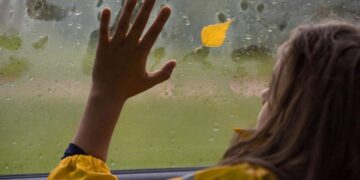 Волога в салоні авто: найбільш дієві способи боротьби з нею | |