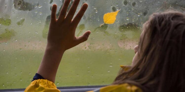 Волога в салоні авто: найбільш дієві способи боротьби з нею |  |